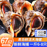 渔哥戏鱼海螺青岛鲜活大号海螺中号海螺小海螺特大海螺肉【鲜活发货】 大海螺 1000g 12-16只