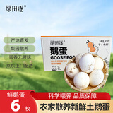绿田逐 鹅蛋新鲜6枚散养土鹅蛋生鲜净重1.3斤生鹅蛋源头直发
