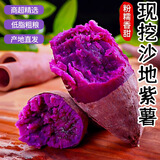 京地达紫薯山东沙地紫薯粉糯香甜净重9斤单果100g+新鲜蔬菜源头直发包邮