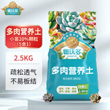 德沃多多肉营养土2.5KG植物种植基质土壤颗粒花盆土(小苗20%颗粒+80%土)