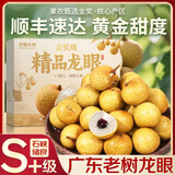 爱鲜摘农场 广东石硖储良龙眼【JD顺丰-多地次日达】石峡桂圆水果礼盒送礼 储良龙眼｜老饕必选【甜爆了】 精选果丨5斤装【超值推荐】净4