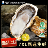 贝司令 鲜活乳山生态生蚝7XL 净重9斤 9-12只 生鲜源头直发 中秋聚餐 