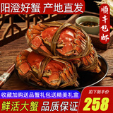 【活蟹】阳澄清歆大闸蟹 鲜活特大螃蟹公蟹母蟹 海鲜水产生鲜礼盒 公4.0-4.3两母3.0-3.3两 4对八只