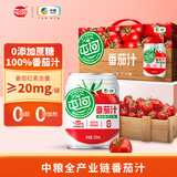 屯河 100%番茄汁250ml*10 0添加蔗糖防腐剂果蔬汁饮料内蒙新疆番茄汁 