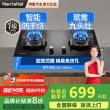 Haotaitai妈妈安全灶燃气灶煤气灶定时防干烧双灶家用台式嵌入式猛火灶熄火保护灶具5.2KW天然气液化气灶 【智能防干烧+鸳鸯九头】2419STJ 管道天然气