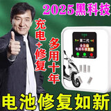 二三轮电动车电瓶修复神器通用全自动脉冲修复电池自动断电 电瓶修复神器