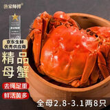 【活蟹】漁家师傅大闸蟹全母2.8-3.1两8只去绳足重鲜活螃蟹现货生鲜水产礼盒源头直发