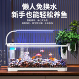阔庭（KUOTING）鱼缸水族箱客厅桌面生态造景家用带灯制氧过滤鱼缸白色【超大号】
