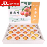 樱慕晴【JD地标认证】正宗辽宁鞍山南果梨东北特产南国梨香水梨新鲜水果 【高端阳面果礼盒】约24枚 4.5斤