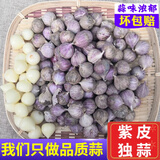 味小仙云南紫皮独头蒜鲜蒜 2025新蒜大蒜头蔬菜生鲜 鲜珍珠独头蒜(2.2cm以下) 3斤