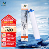 道尔顿（Doulton）【英国原装进口】净水器滤芯 KDF DIP301专用适配滤芯BioTect Ultra 9004型