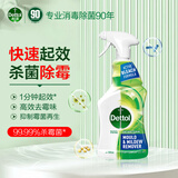 滴露（Dettol）除霉喷雾除霉剂除霉味99.99%杀菌墙体除霉剂洗衣机胶圈去霉斑霉菌 【新品上市】除霉喷雾500ml