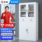 丰龙文件柜办公柜钢制铁皮柜档案柜办公室资料柜凭证柜储物柜中二斗柜