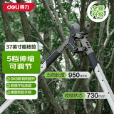 得力强力粗枝剪园林省力剪杠杆省力家用果树修枝剪高枝大力剪可伸缩