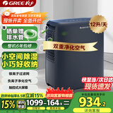 格力（GREE）【轻音小体积 空气净化】除湿机/抽湿机家用卧室客厅除湿器升级负离子净化适用面积24平DH12ENA1A