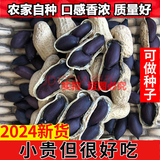 黑玉珍2025年新货黑皮花生晒干带壳生黑花生种子紫皮原味山东黑花生年货 原味熟（甄选款）-5斤