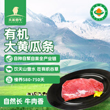 天莱香牛 新疆有机黄瓜条牛肉300g 谷饲生鲜牛肉烧烤食材清真【真原切】