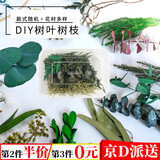 威尔基干花材料手工diy制作松果材料包永生花装饰真干果树叶天然植物叶 树叶植物花材盒【随机一盒装】