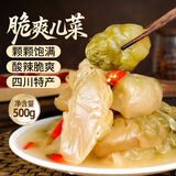 鲜窝窝 脆爽老坛泡儿菜500g 四川特产东坡泡菜 下饭菜酱腌菜 酸甜麻辣