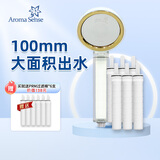 Aroma Sense过滤花洒喷头增压韩国进口活性碳除氯净水过滤沐浴花洒手持莲蓬头 PRC透明标配+6支过滤棉