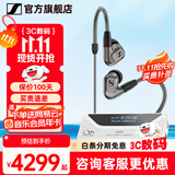 森海塞尔（Sennheiser）IE900/IE600/IE300旗舰级HIFI高保真超宽单动圈单元可拆卸MMCX挂耳式耳机 高保真发烧有线耳机耳塞 IE600+山灵UA4银色 便携耳放