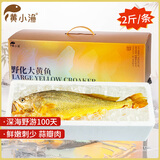 黄小渔【深海野化】宁德大黄鱼海鲜礼盒2斤/条 黄花鱼送礼源头直发 