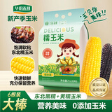 华田禾邦东北黑黄糯玉米2.64~3斤（220g×6根）新鲜甜黏玉米棒粒 早餐苞米