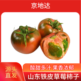 京地达山东铁皮草莓柿子净重3斤单果50g+ 新鲜蔬菜绿腚番茄源头直发包邮