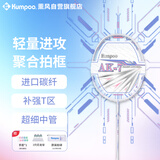 薰风（KUMPOO） 羽毛球拍全碳素专业训练级超轻进攻动力聚合边框熏风AK-7白色4U