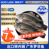GUO LIAN国联水产 三去罗非鱼6条/4.2斤净重 非洲鲫鱼红烧鱼食材源头直发