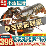首鲜道【活鲜】波士顿龙虾鲜活波龙 大龙虾海鲜鲜活礼盒大虾年货礼盒 700-800g/只大龙虾*1只（净重）