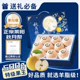 秦悦仙果鲜【京严选-多地隔日达】正宗山东莱阳秋月梨礼盒装水果冰糖梨送礼 精选5斤中果【250g+】净重4.5斤