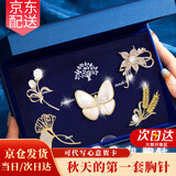 古耐胸针高档女精致小众胸花礼盒轻奢大气别针丝巾扣生日礼物女士实用 浪漫蝴蝶胸针胸针5件套