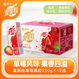 蒙牛 真果粒多口味礼盒装草莓+芦荟+椰果+桃果粒250g*12盒  送礼推荐 【草莓果粒】250g*12盒【部分10月产】