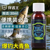 穿透王秋冬黑坑野钓鲫鱼鲤鱼钓鱼小药口水剂草鱼青鱼药酒诱鱼剂混养鱼饵 青透（30m 主钓草青鱼 泡螺蛳）