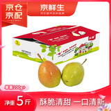京鲜生 红香酥梨 净重5斤 单果100g+ 生鲜水果礼盒