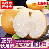 京地达山东莱阳秋月梨正宗梨子秋月梨新鲜水果4.5斤单果350g+源头发包邮