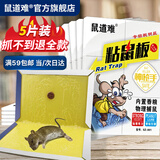 鼠道难粘鼠板超强威力大号加厚灭鼠商家用黏鼠贴抓捉捕老鼠粘鼠板5片