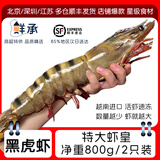 鲜承 超大黑虎虾越南进口 生鲜超市虾类 活冻大虾老虎虾海鲜礼盒  【特大虾皇 2只装】 800g(净重) 