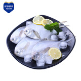 鲜到鲜得 冷冻东海银鲳鱼净重3.2斤(共16条) 平鱼 生鲜 鱼类食材 源头直发