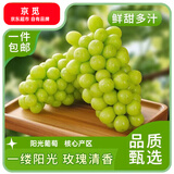京觅甘肃晴王觅光葡萄 净重5斤 单粒8-10g 香印青提 源头直发