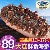 三只海豚 即食海参 大连鲜食刺参独立单个装 大连特产辽刺参13-17只500g