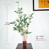 华香兰艺红观音竹内门紫红寒文米竹子苗凤尾金丝佛肚盆栽景耐阴书房室绿植 红观音10-13杆 原盆原土