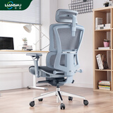 恋树（LIANSHU） L1电脑椅家用 人体工学椅子 办公椅可躺 老板椅 转椅 撑腰电竞椅 灰色凌云版(6D扶手)网布版
