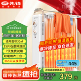 先锋（SINGFUN）取暖器/电热油汀/石墨烯加热电暖器/电暖气片 家用恒温加湿国家补贴取暖器15片油汀DYT-Z21