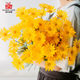爱已装糖多头小雏菊仿真花假花花束塑料花简约室内装饰花瓶插花 5支黄色