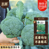 北蔬 西兰花种子种苗绿西蓝花椰菜青菜花蔬菜种籽 西兰花种子约500粒