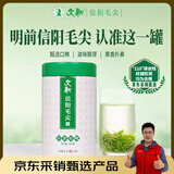 文新绿茶2025新茶好茶好喝信阳毛尖特级200g明前罐装