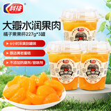 科技 橘子罐头227g*3杯 水果罐头即食休闲零食水果捞糖水饮料甜点礼物