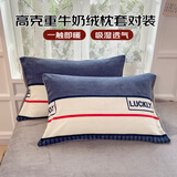 艾薇 牛奶绒枕套法兰绒加厚枕头枕芯套一对 清风韵律 48*74cm